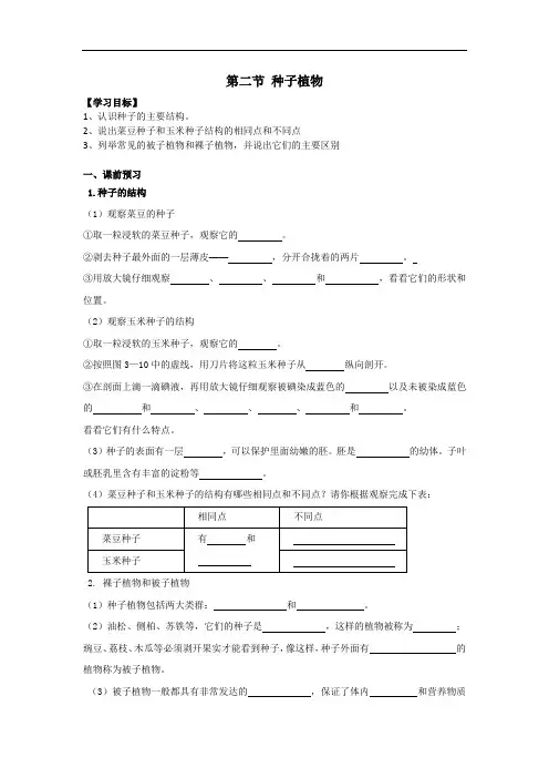第二节种子植物导学案2023--2024学年人教版生物七年级上册