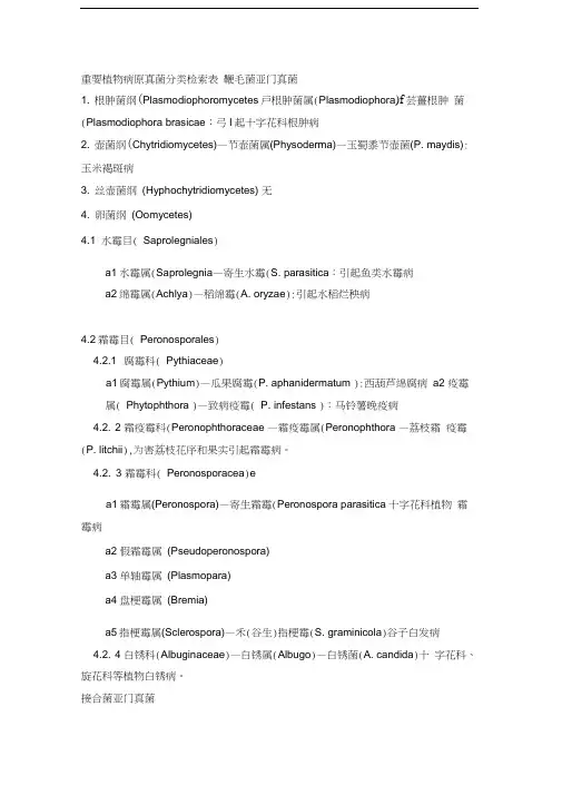 最新重要植物病原真菌分类检索表
