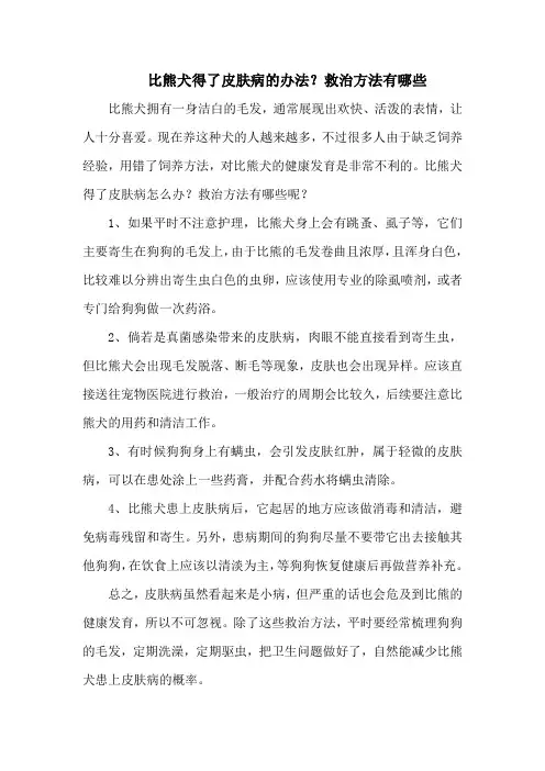 比熊犬得了皮肤病的办法？救治方法有哪些