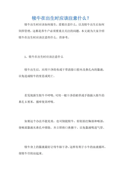 犊牛在出生时应该注意什么？