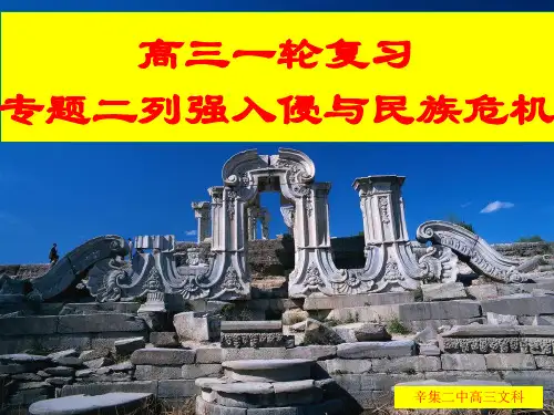 高考一轮复习专题二第一课列强入侵与民族危机