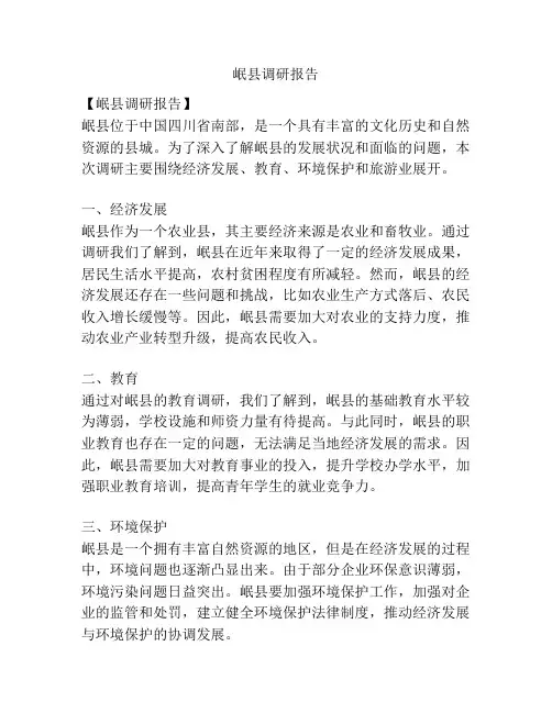 岷县调研报告