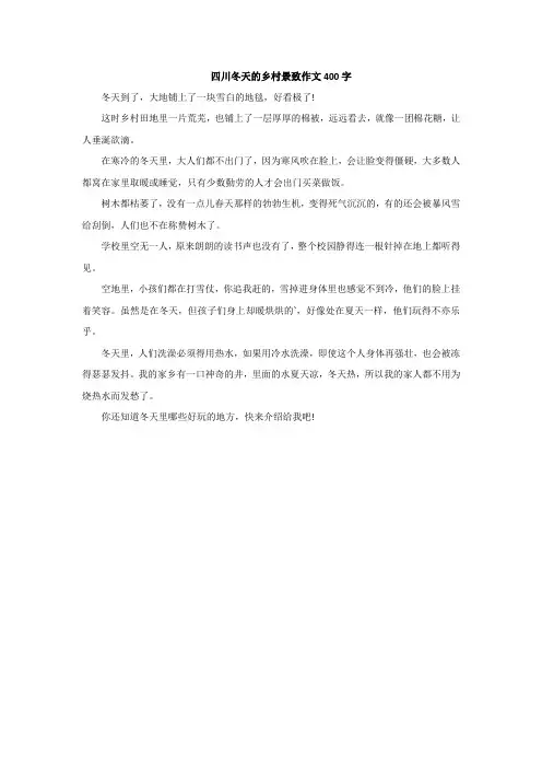 四川冬天的乡村景致作文400字