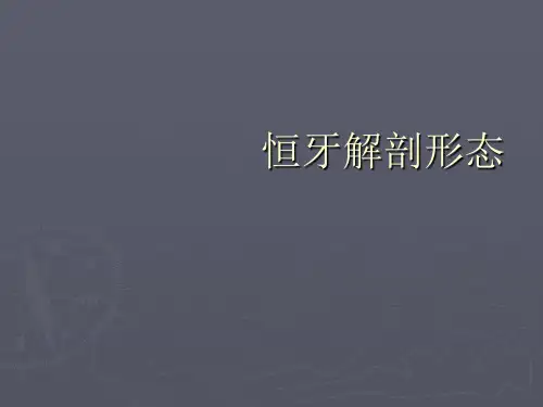 口腔解剖-恒牙形态