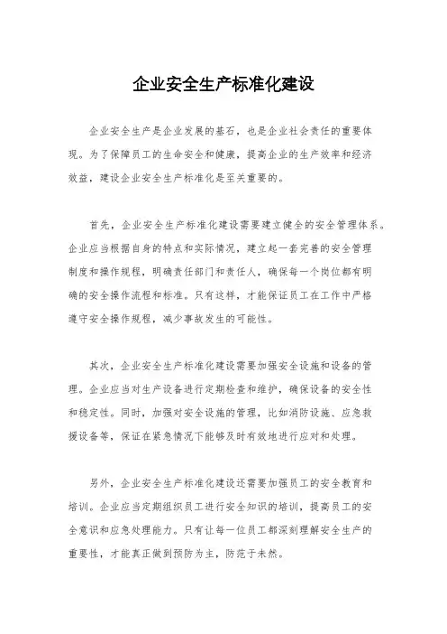 企业安全生产标准化建设