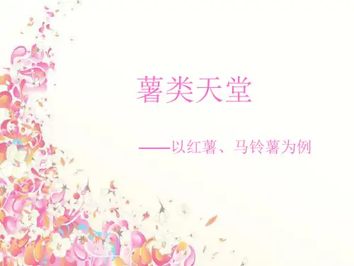 营养学 薯类ppt
