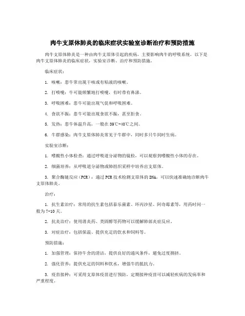 肉牛支原体肺炎的临床症状实验室诊断治疗和预防措施