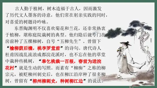 11 《种树郭橐驼传》 课件(共25张PPT)统编版选择性必修下册
