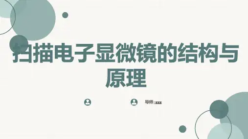 扫描电子显微镜的结构与原理