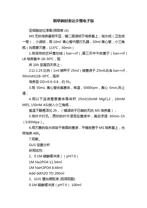 烟草瞬时表达步骤电子版