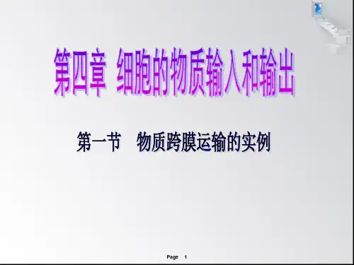 人教版高中生物必修一第四章第1节《物质跨膜运输的实例》 课件(共42张PPT)