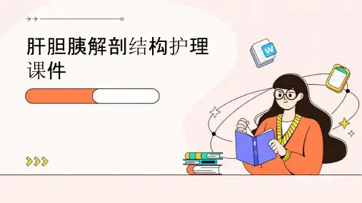 肝胆胰解剖结构护理课件