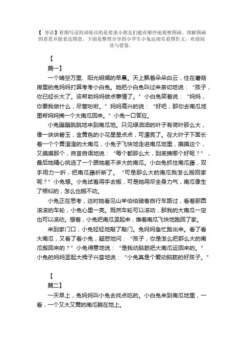 小学生小兔运南瓜看图作文【五篇】