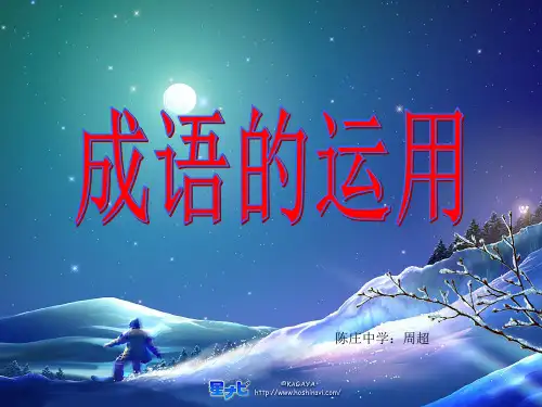 成语运用(公开课)