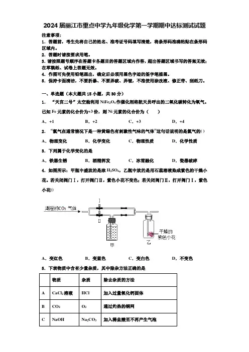 2024届丽江市重点中学九年级化学第一学期期中达标测试试题含解析