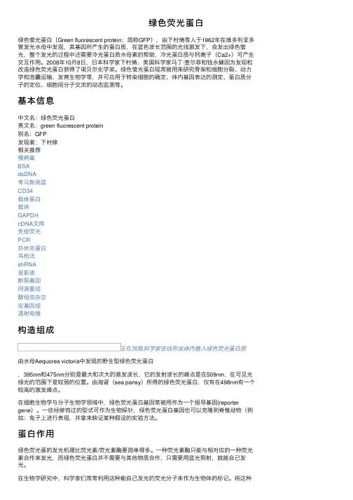 绿色荧光蛋白
