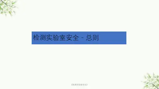 《检测实验室安全》课件
