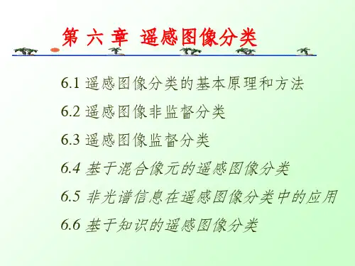 遥感图像目视分类PPT课件