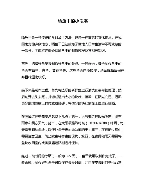 晒鱼干的小段落
