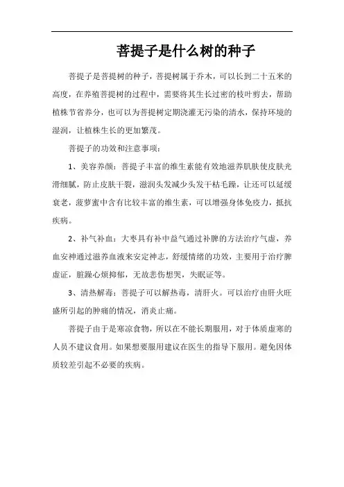 菩提子是什么树的种子