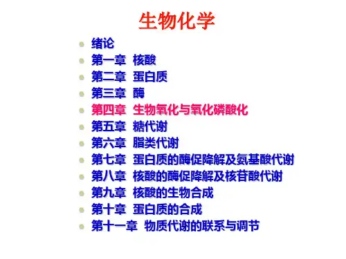 《生物化学》生物氧化与氧化磷酸化