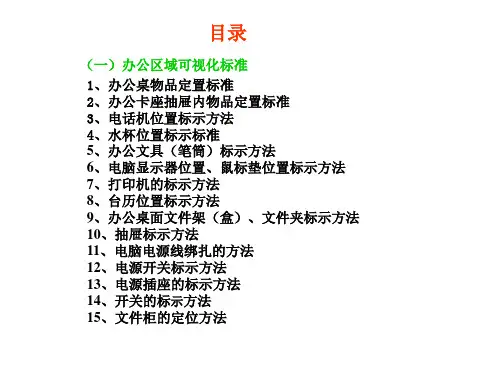 5S可视化标准(PPT93页)精选全文完整版