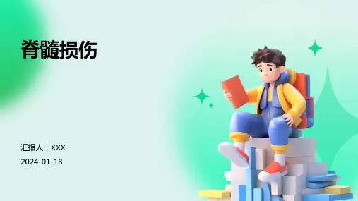脊髓损伤汇报ppt课件
