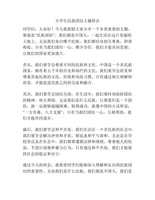 小学生民族团结主题班会