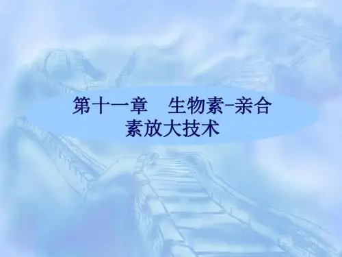 第11章生物素-亲合素放大技术