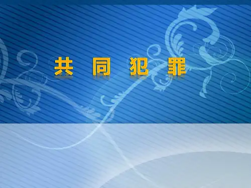 09共同犯罪