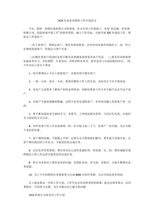 2019年业务员销售工作计划范文.doc
