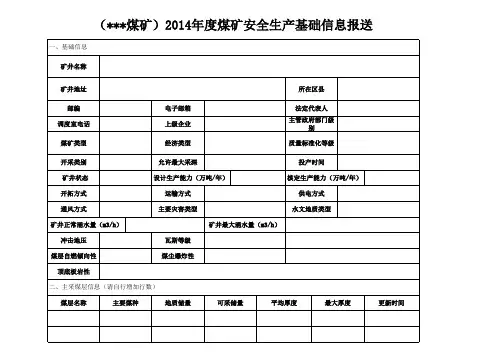 煤矿企业安全生产信息填报表格