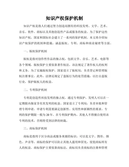 知识产权保护机制