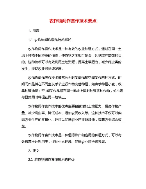 农作物间作套作技术要点
