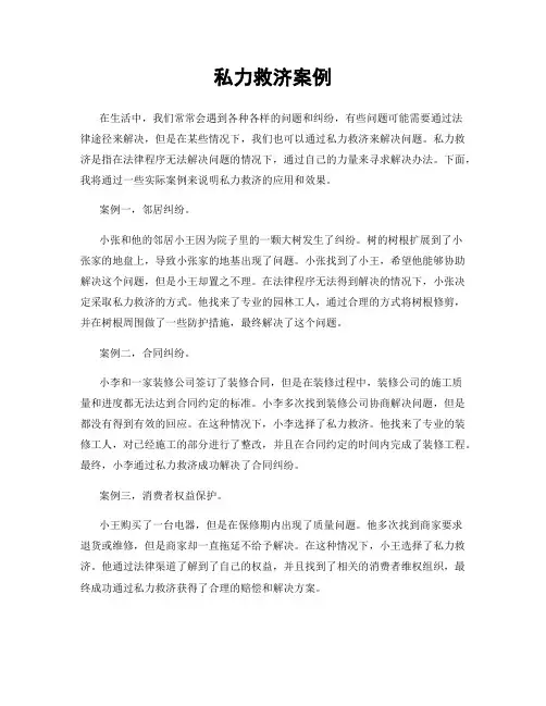 私力救济案例