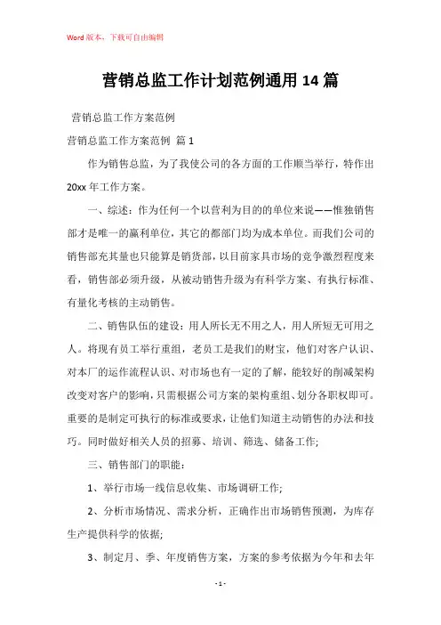 营销总监工作计划范例通用14篇