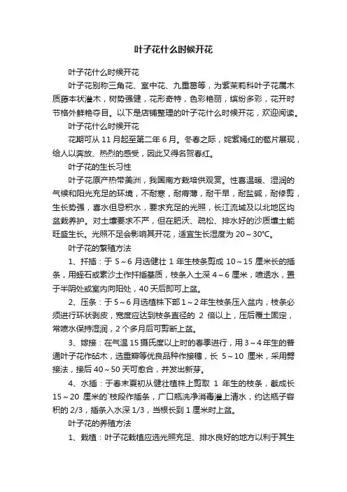 叶子花什么时候开花