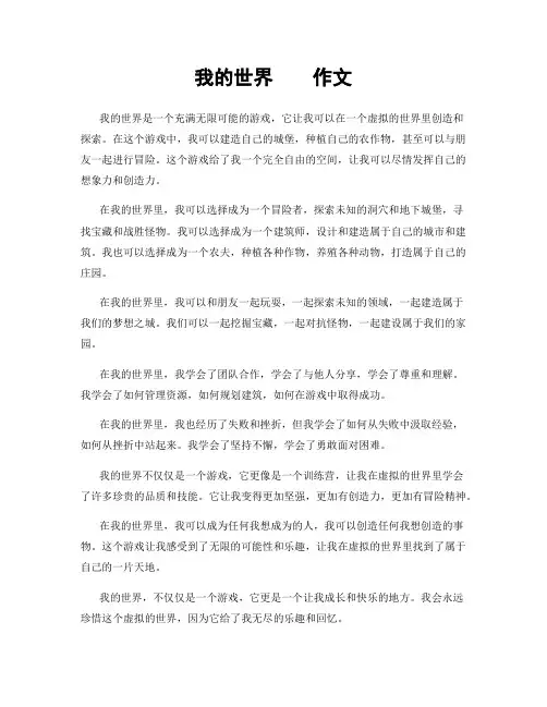 我的世界    作文