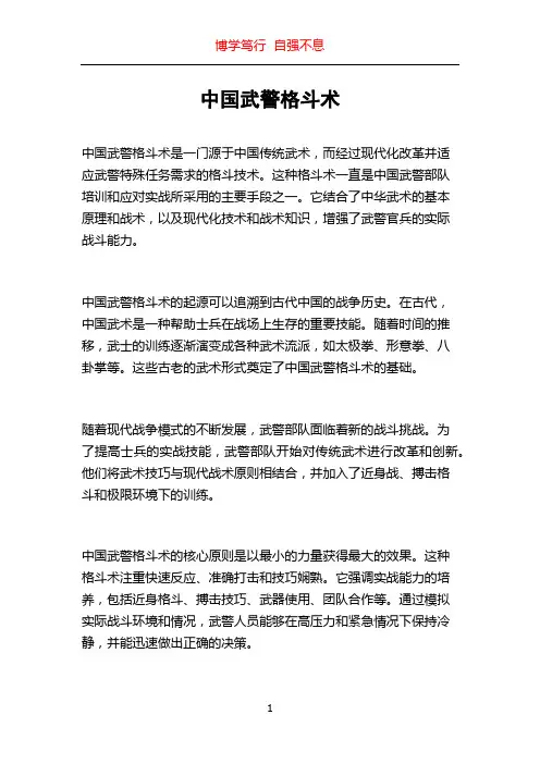 中国武警格斗术