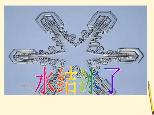 科学小实验之水结冰了