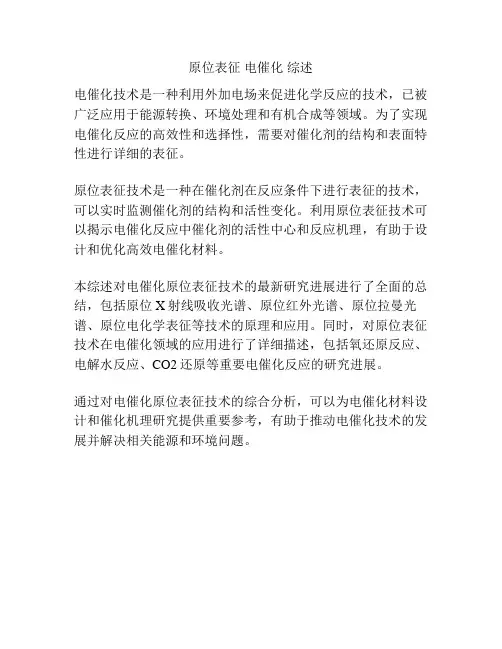 原位表征 电催化 综述