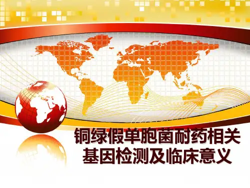 最新铜绿假单胞菌耐药相关基因检测及临床意义ppt课件