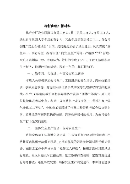 标杆班组汇报材料