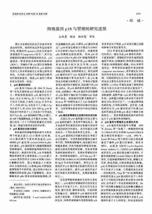 抑癌基因p16与胃癌的研究进展