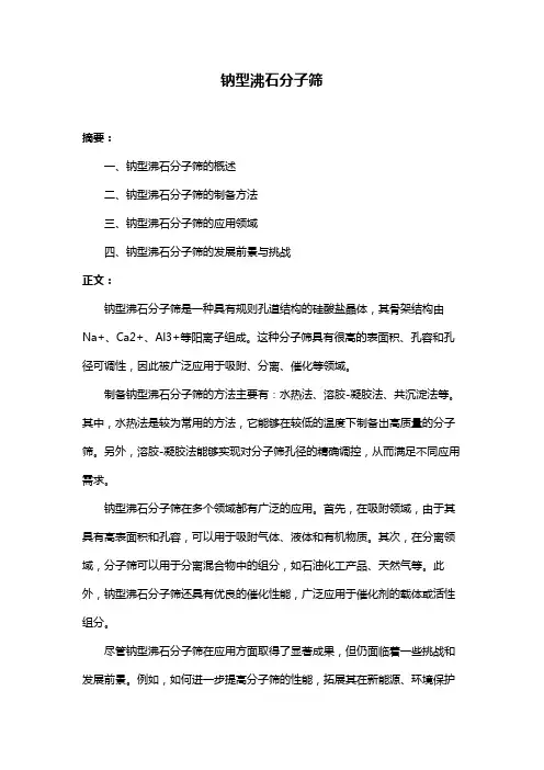 钠型沸石分子筛