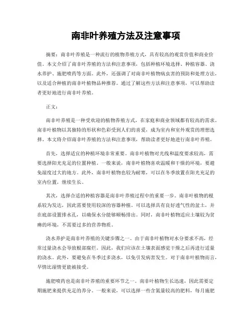 南非叶养殖方法及注意事项