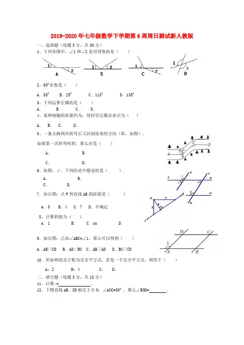 2019-2020年七年级数学下学期第6周周日测试新人教版