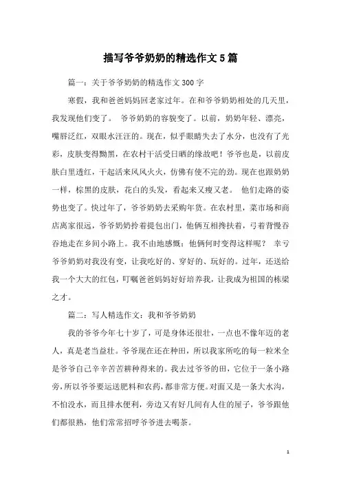 描写爷爷奶奶的精选作文5篇
