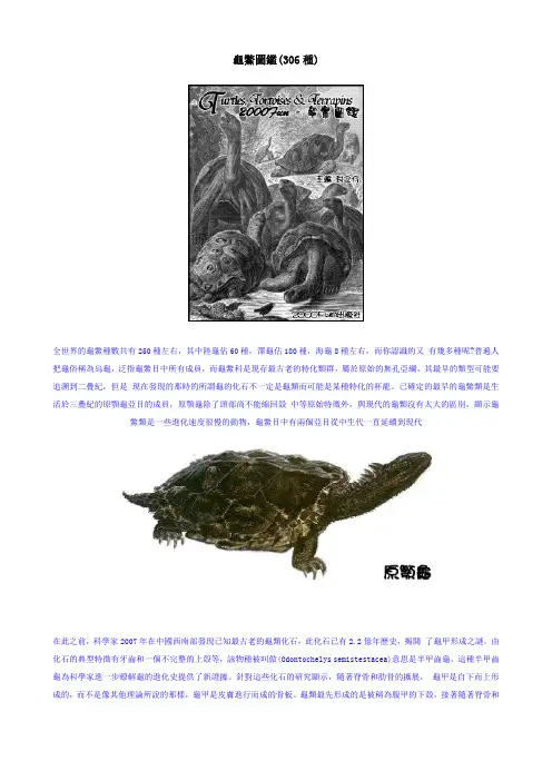 龟类图鉴