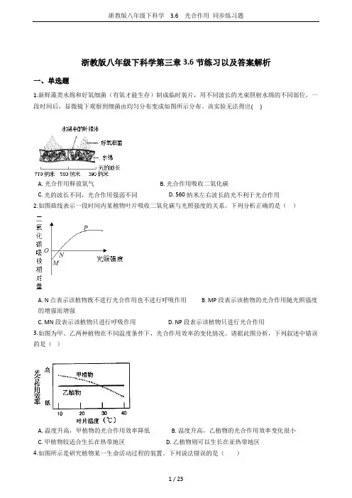 浙教版八年级下科学  3.6  光合作用 同步练习题